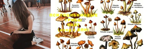 герыч Магас