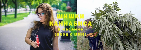 стафф Мегион