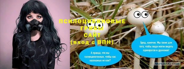 дурь Медногорск