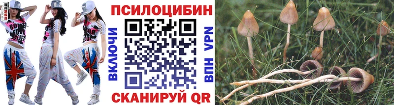 hydra сайт  Армавир  Галлюциногенные грибы мухоморы 