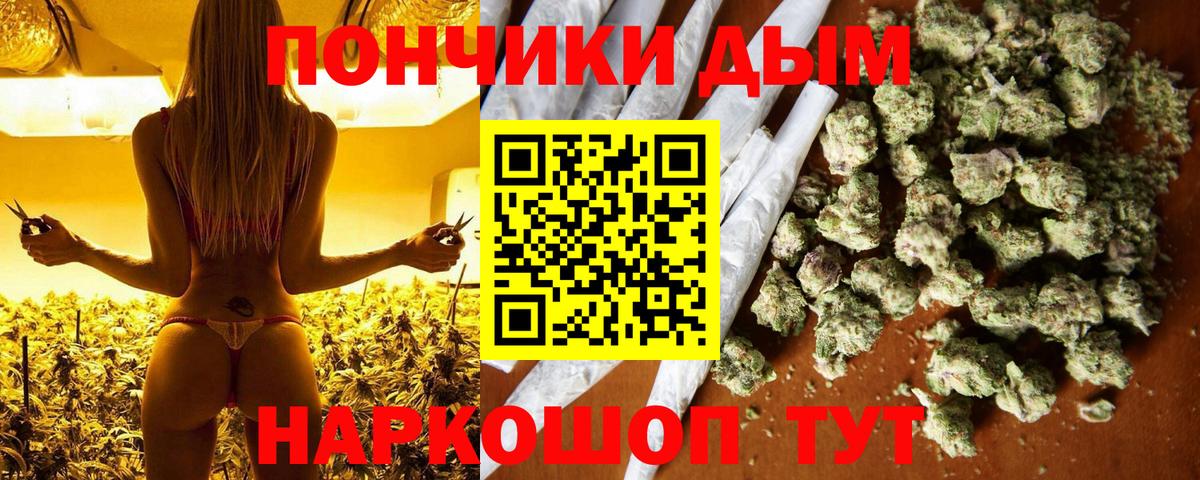 Бошки Шишки план Армавир